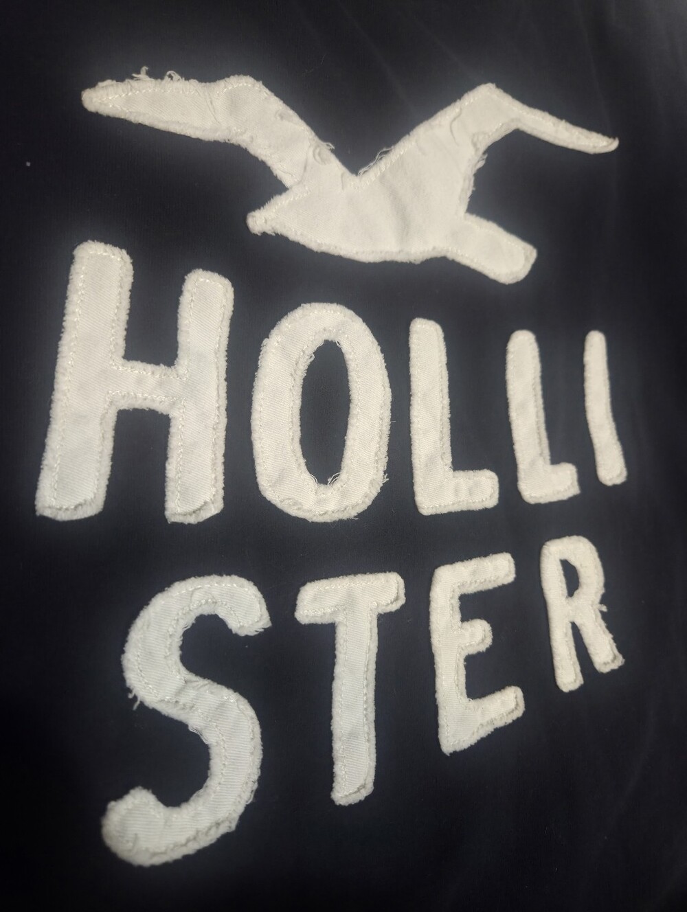 Hollister Signature Seagull Icon Long Sleeve Navy Blue EmbroideredTee Sz Medium